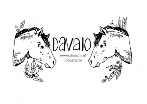 davalo logo