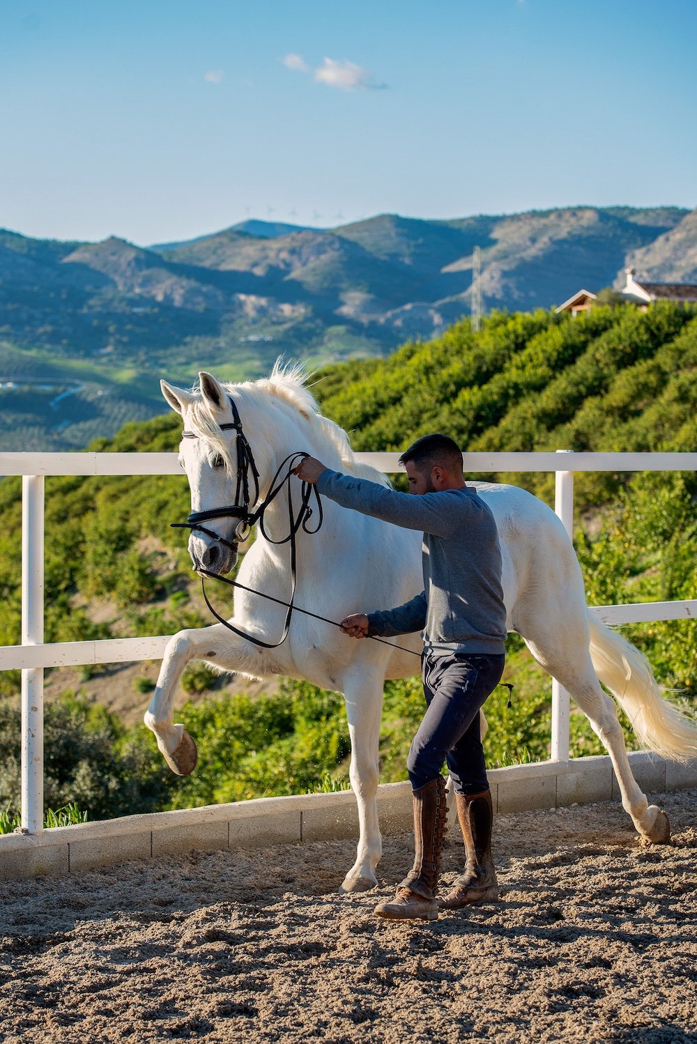 Davalo portfolio fotografie - Marlies Kranstauber