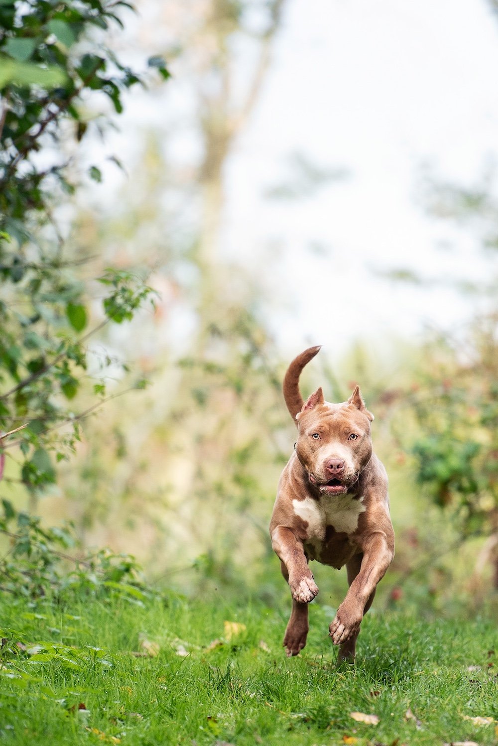 Davalo portfolio fotografie - Marlies Kranstauber