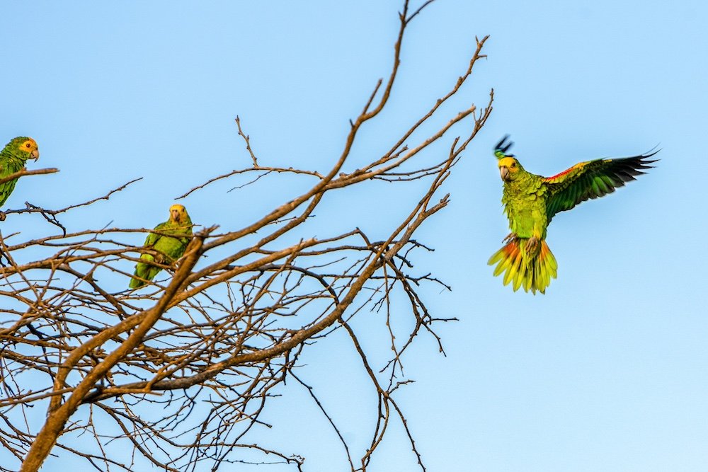 Davalo portfolio fotografie - Marlies Kranstauber