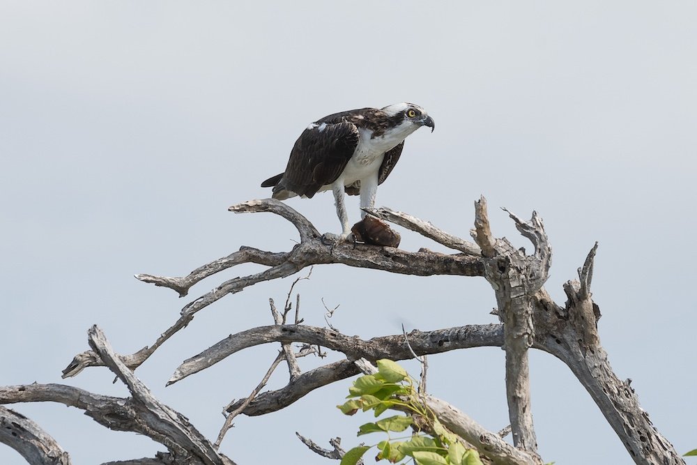 Davalo portfolio fotografie - Marlies Kranstauber
