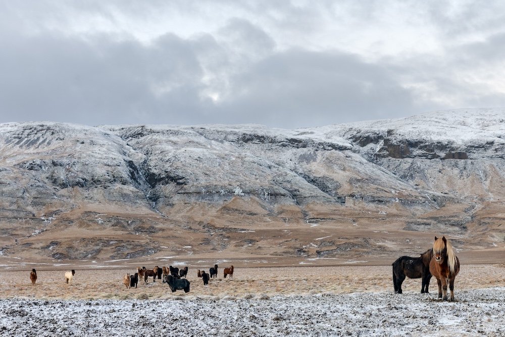Davalo portfolio fotografie - Marlies Kranstauber