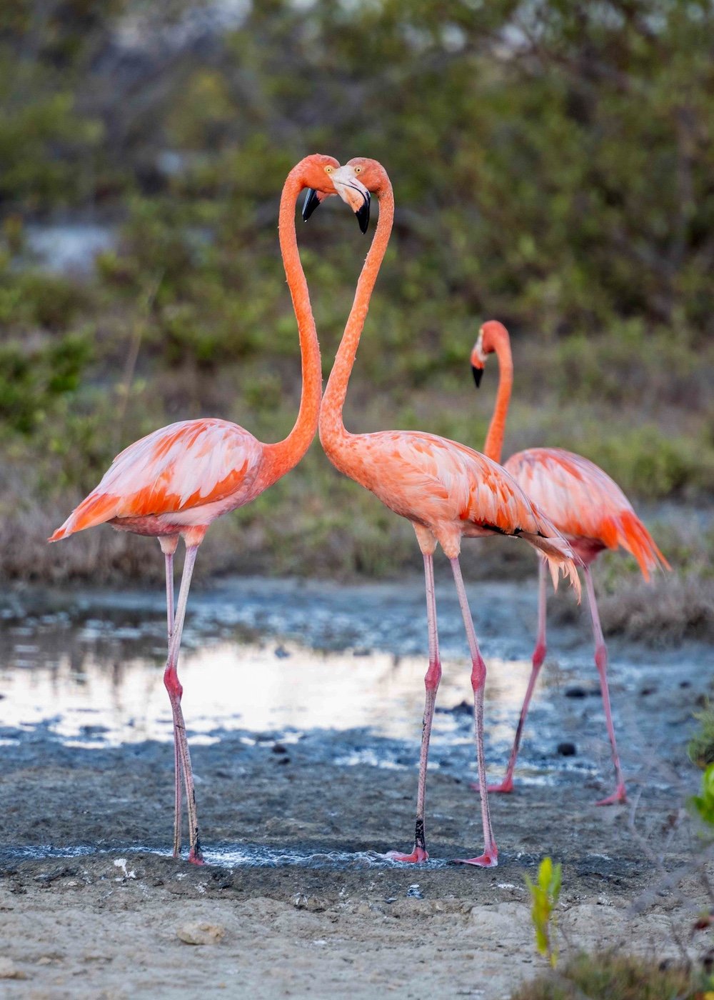 Davalo portfolio fotografie - Marlies Kranstauber