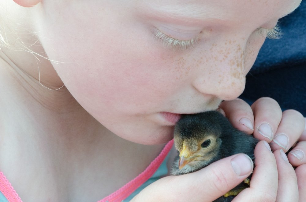 Davalo portfolio fotografie - Marlies Kranstauber