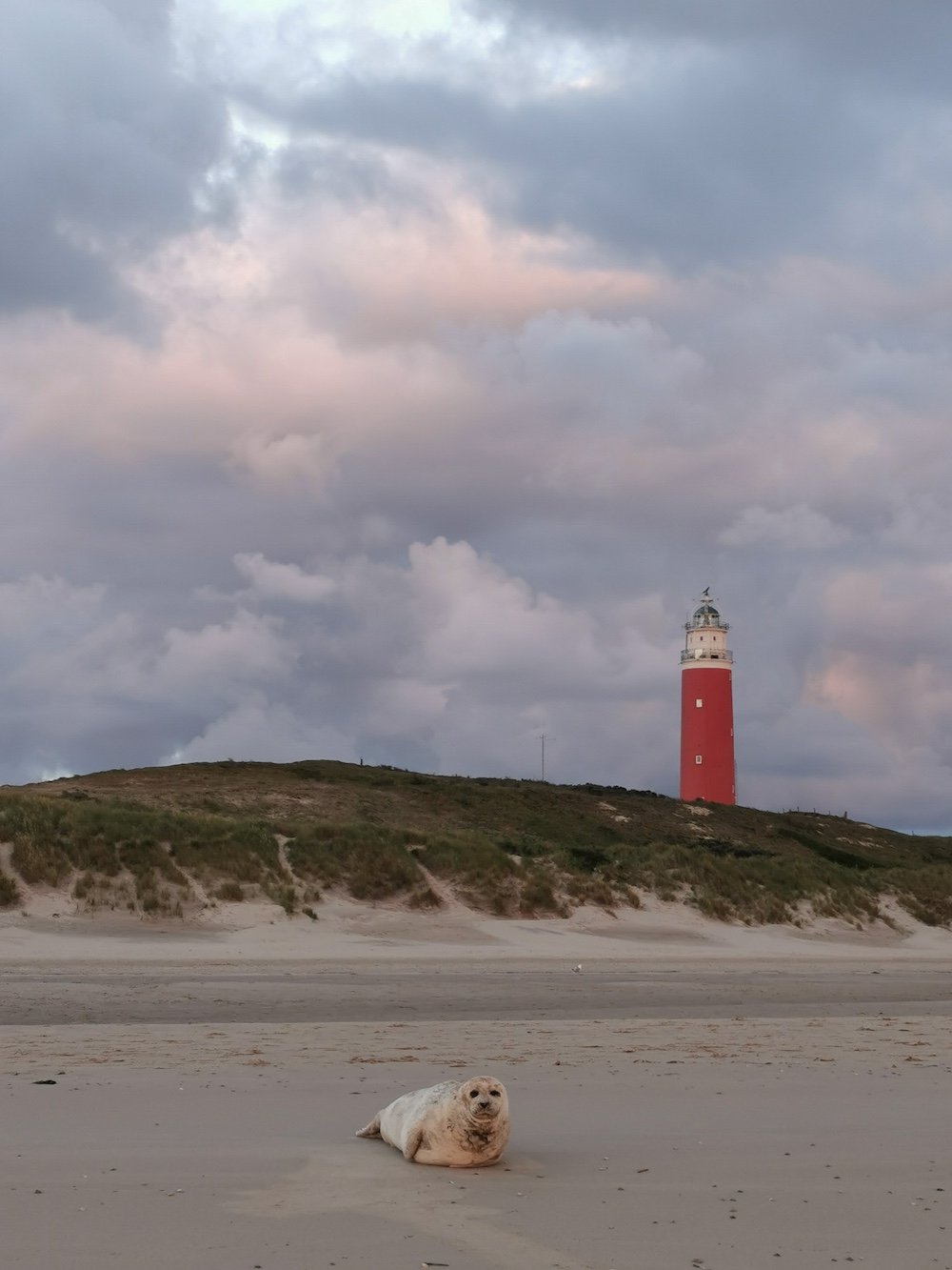 Davalo portfolio fotografie - Marlies Kranstauber